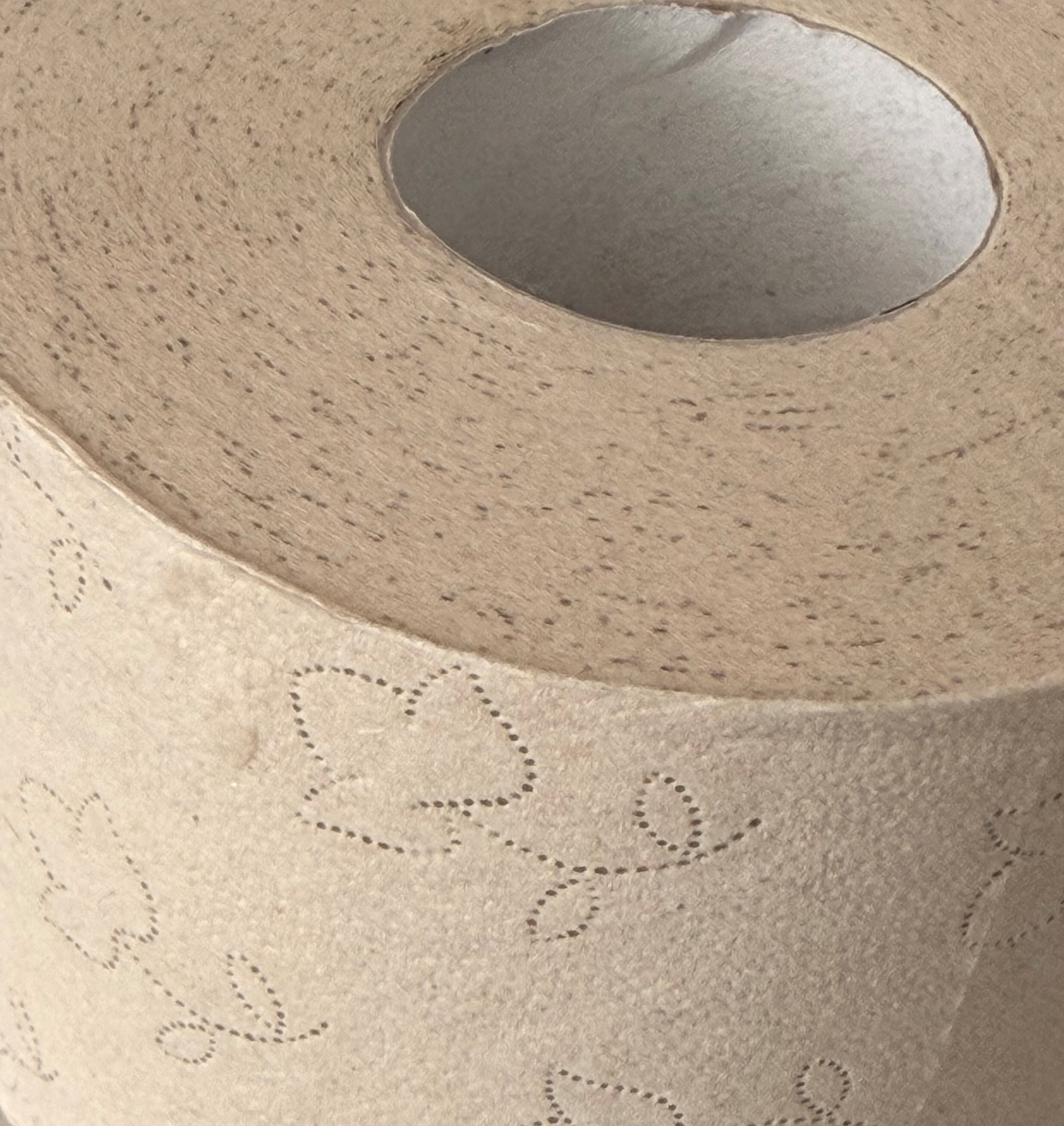 Palette: Toilettenpapier, 49 VE, Lucart Eco Natural 400 Blatt, 2-lagig